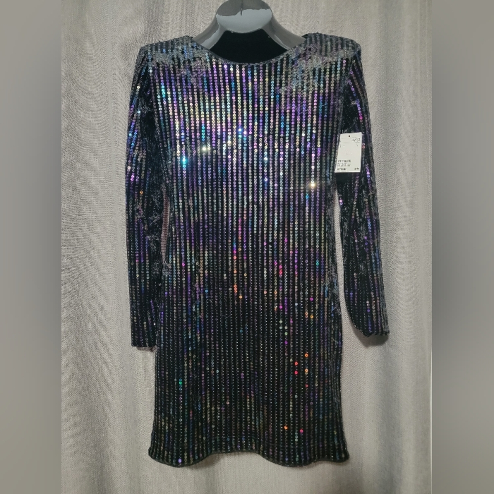NWT H&M Sequin Velvet Long Sleeve Dress Size 6